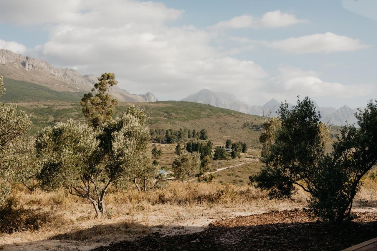 Untether On Olive View Ουέλλινγκτον Εξωτερικό φωτογραφία